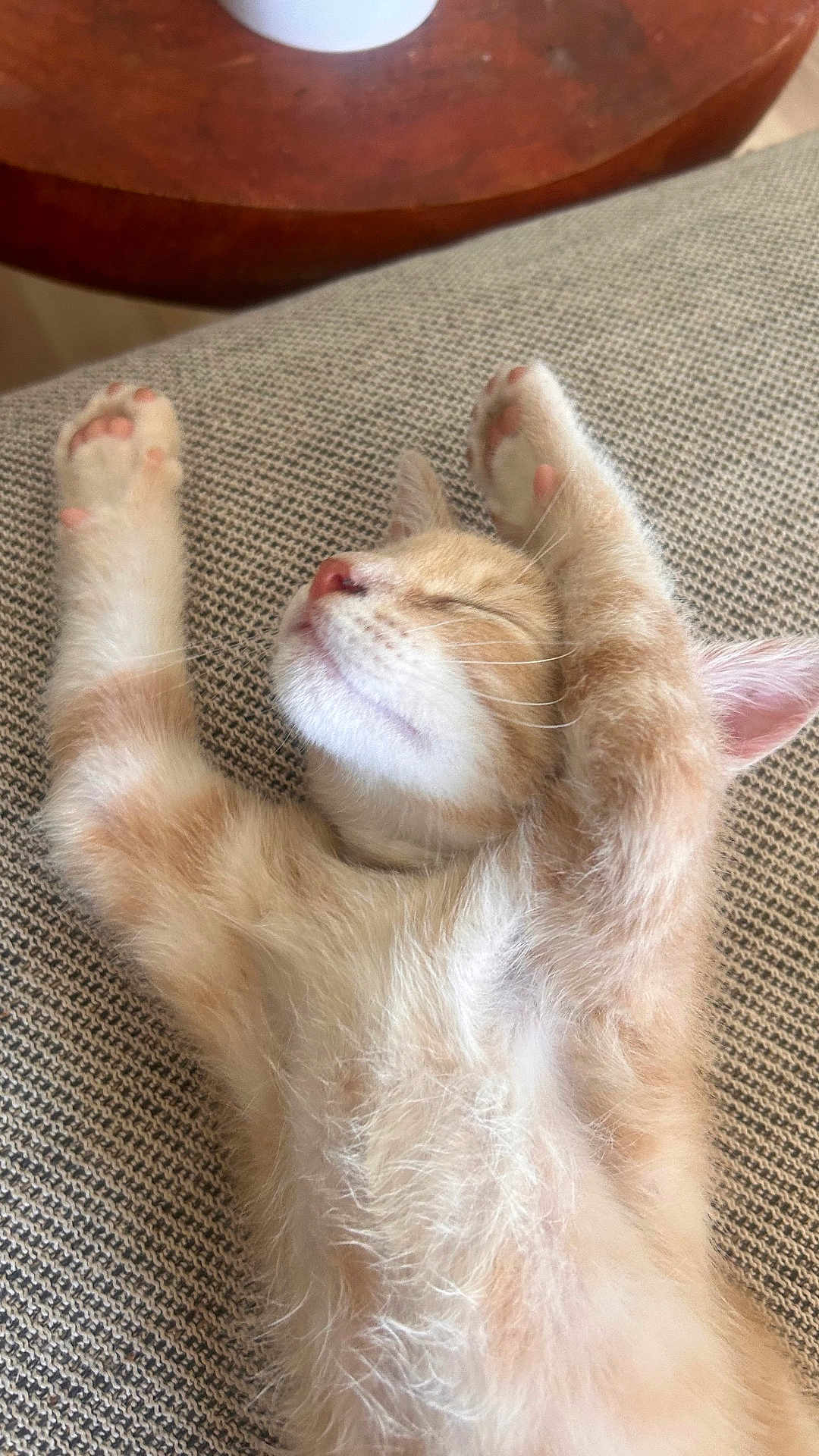 Kurt