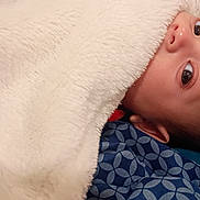Elias is registered to the contest to win money with this photo: baby, infant, child, portrait, lying_down, blanket, white_blanket, blue_background, wide_eyes, face, eyes, nose, ear, head, bed, cozy, indoors, close_up, photography, cute