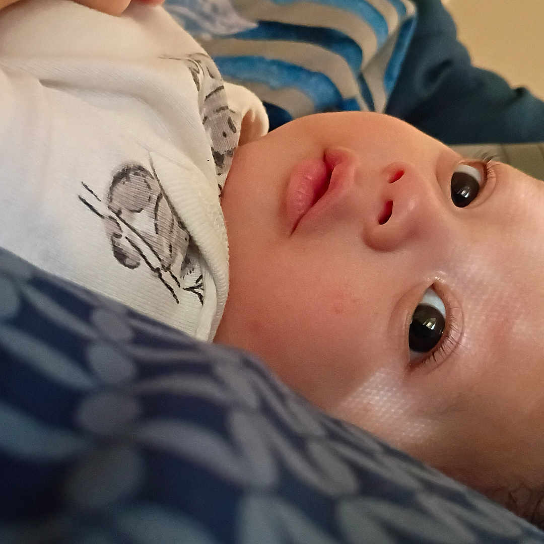 Elias