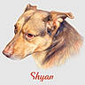 dog, drawing, colored_pencil, portrait, animal, pet, fur, head, ears, eyes, snout, illustration, art, name, text, cursive, realistic, detail, profile, canine