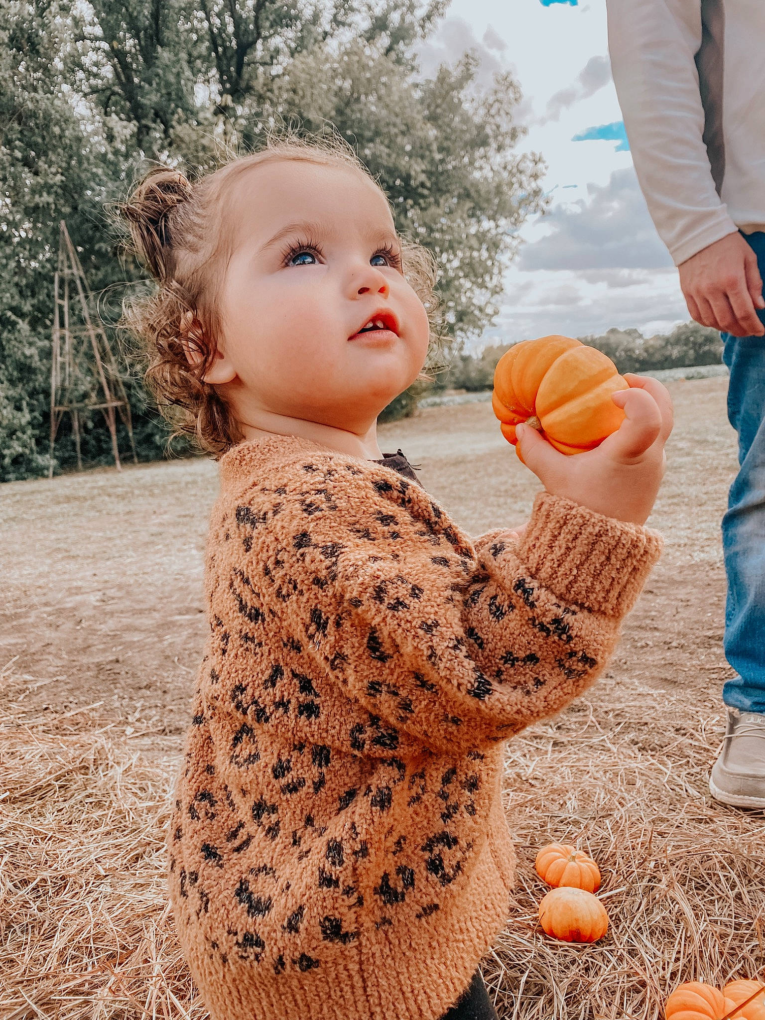 Laynee joined the competition — help win amazing prizes! art, ball, calabaza, child, cucurbita, fun, gourd, happy, jeans, leisure, natural_foods, orange, people_in_nature, person, plant, pumpkin, summer, tree, vegetable, winter_squash