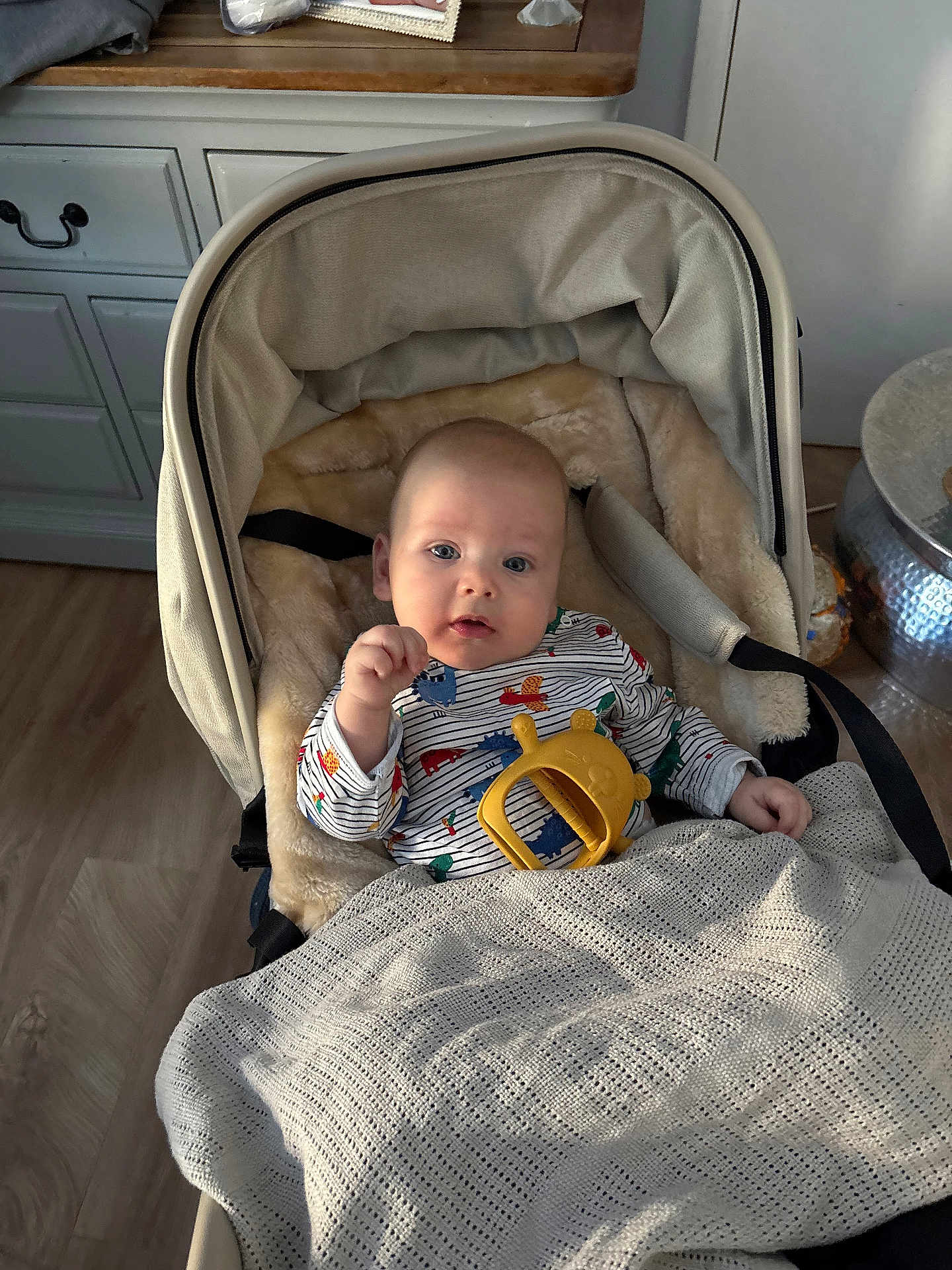 Rudi is registered to the contest to win money with this photo: baby, stroller, toy, blanket, indoor, child, face, clothing, floor, cabinet, wooden_floor, person, infant, warm, comfort, cute, portrait, sitting, expression, baby_clothes