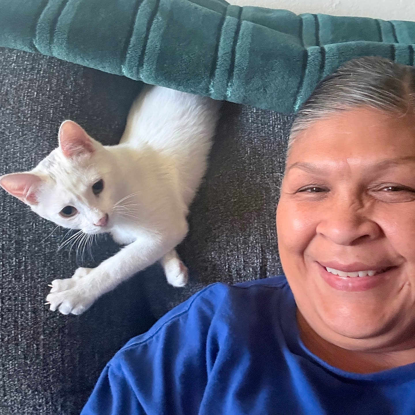 Rosie Garza joined the competition — help win amazing prizes! person, cat, white_cat, couch, cushion, blue_shirt, smile, indoor, furniture, happy, face, pet, stretching, cozy, home, relaxed, curious, domestic_animal, portrait, casual