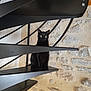 alert, animal, architecture, black_cat, black_stairs, cat, contrast, curious, eyes, feline, home_interior, indoor, minimalist, modern_design, pet, quiet, sitting, spiral_staircase, stairs, stone_wall
