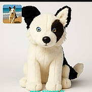 Tayla a rejoint le concours — aidez-le/la à gagner de superbes lots ! stuffed_animal, toy, dog, border_collie, plush, blue_eye, brown_eye, black_and_white, sitting, cute, pet_toy, animal_figure, studio_shot, isolated, background, inset_photo, beach, running_dog, sand, ocean