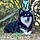Aska