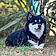 Aska