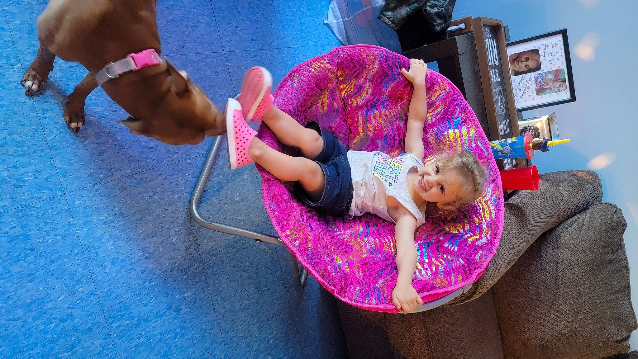 Tesla joined the competition — help win amazing prizes! baby, comfort, dog, event, foot, fun, happy, human_leg, joy, knee, lap, leg, leisure, magenta, person, picture_frame, pink, purple, sock, television