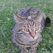 Mia a rejoint le concours — aidez-le/la à gagner de superbes lots !