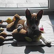 Jena participe au concours pour gagner de l'argent avec cette photo :