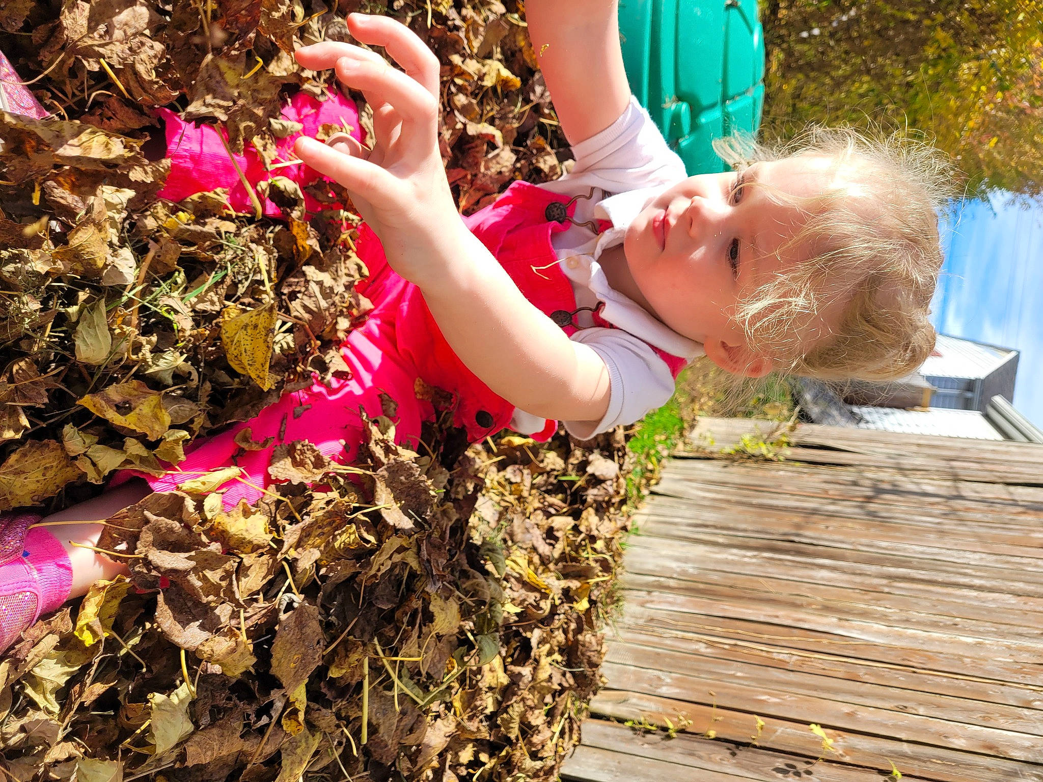 Adalynn joined the competition — help win amazing prizes! baby, child, deciduous, fashion_accessory, fun, garden, grass, happy, human_leg, leisure, magenta, people_in_nature, person, plant, sitting, soil, sunglasses, thigh, toddler, wood