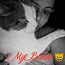 affection, animal, black_and_white, cat, closeup, companion, cozy, cute, emoji, face, feline, indoor, love, paw, person, pet, portrait, selfie, snuggling, text_overlay