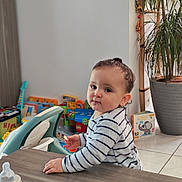 Lony participe au concours pour gagner de l'argent avec cette photo : baby, bottle, child, curious, cute, face, floor, furniture, home, indoor, person, plant, play_area, portrait, striped_shirt, table, toddler, toy, window_light, young_child