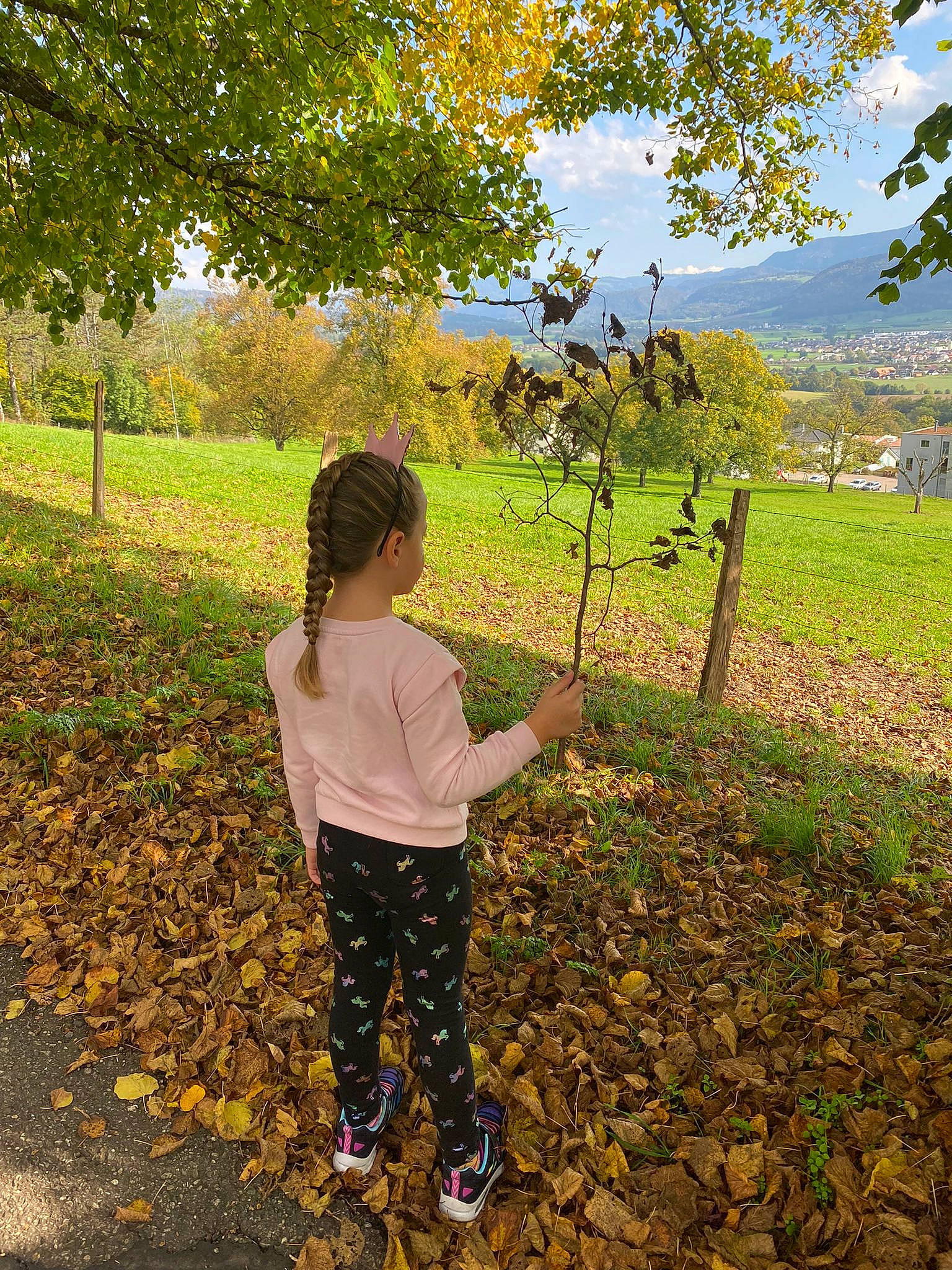 Nerea participe au concours pour gagner de l'argent avec cette photo : agriculture, branch, cloud, deciduous, field, gesture, grass, grassland, happy, landscape, leisure, natural_landscape, people_in_nature, person, plant, sky, soil, tints_and_shades, toddler, tree