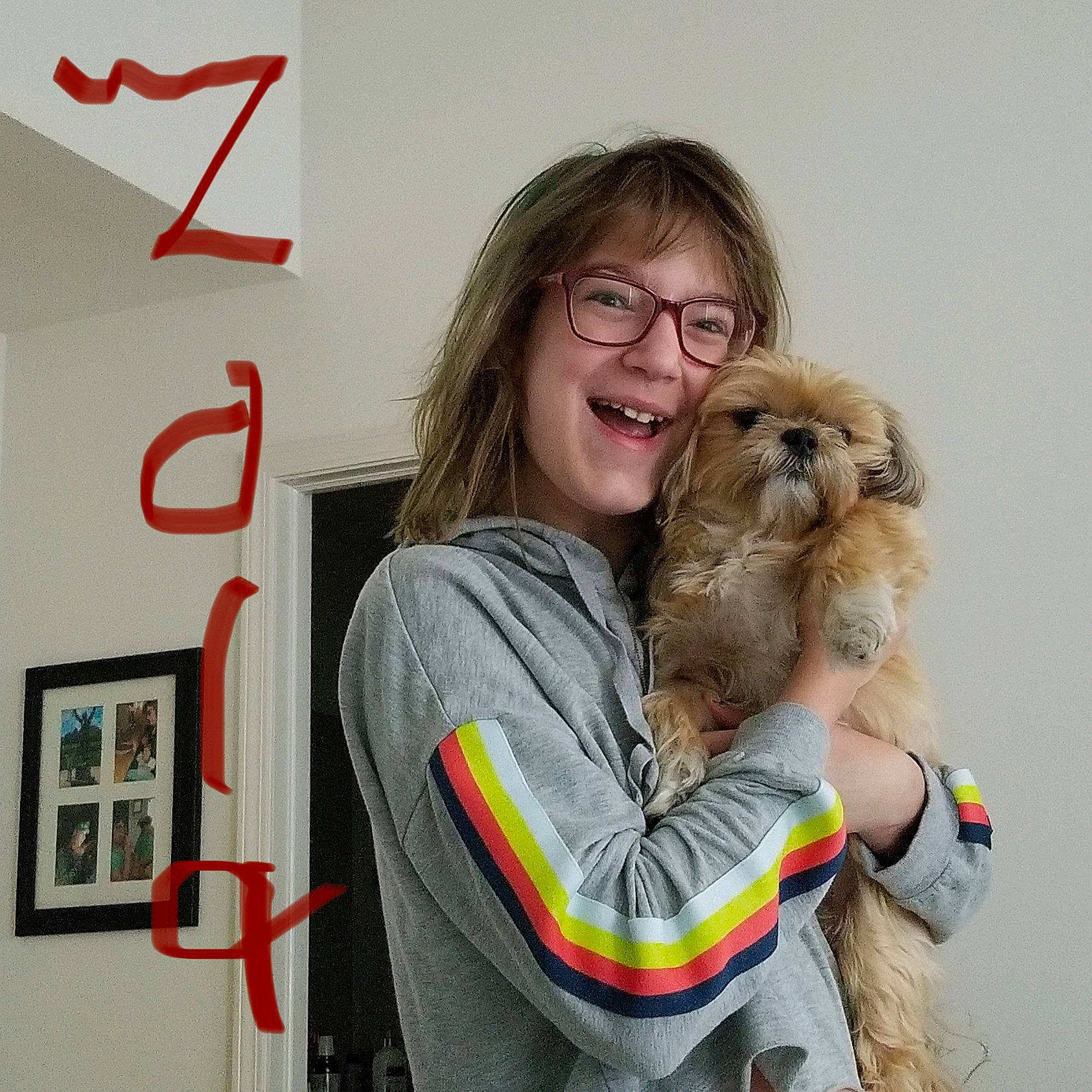 Bella is registered to the contest to win money with this photo: belt, canidae, carnivore, companion_dog, dog, dog_breed, event, eyewear, fawn, fur, glasses, happy, liver, pet_supply, picture_frame, smile, snout, sporting_group, toy_dog, working_animal