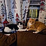 cat, black_and_white_cat, orange_cat, couch, blanket, curtains, window, christmas_tree, holiday_decor, indoor, pets, feline, resting, cozy, paw_touch, lantern, brown_furniture, night, soft_lighting, relaxed