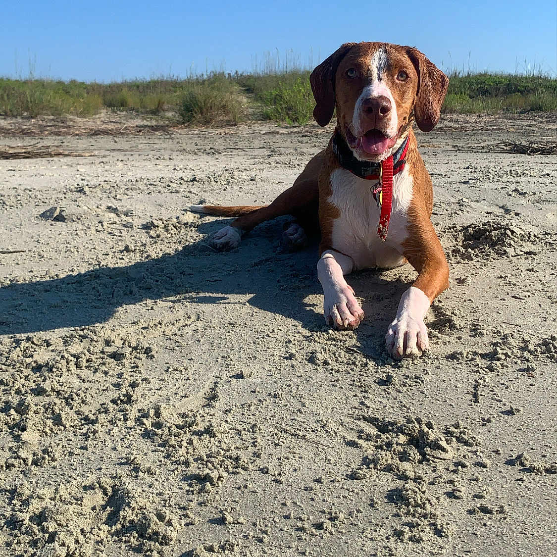 Charlie Of Charleston