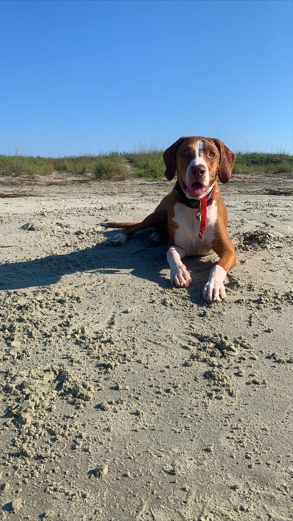 Charlie Of Charleston