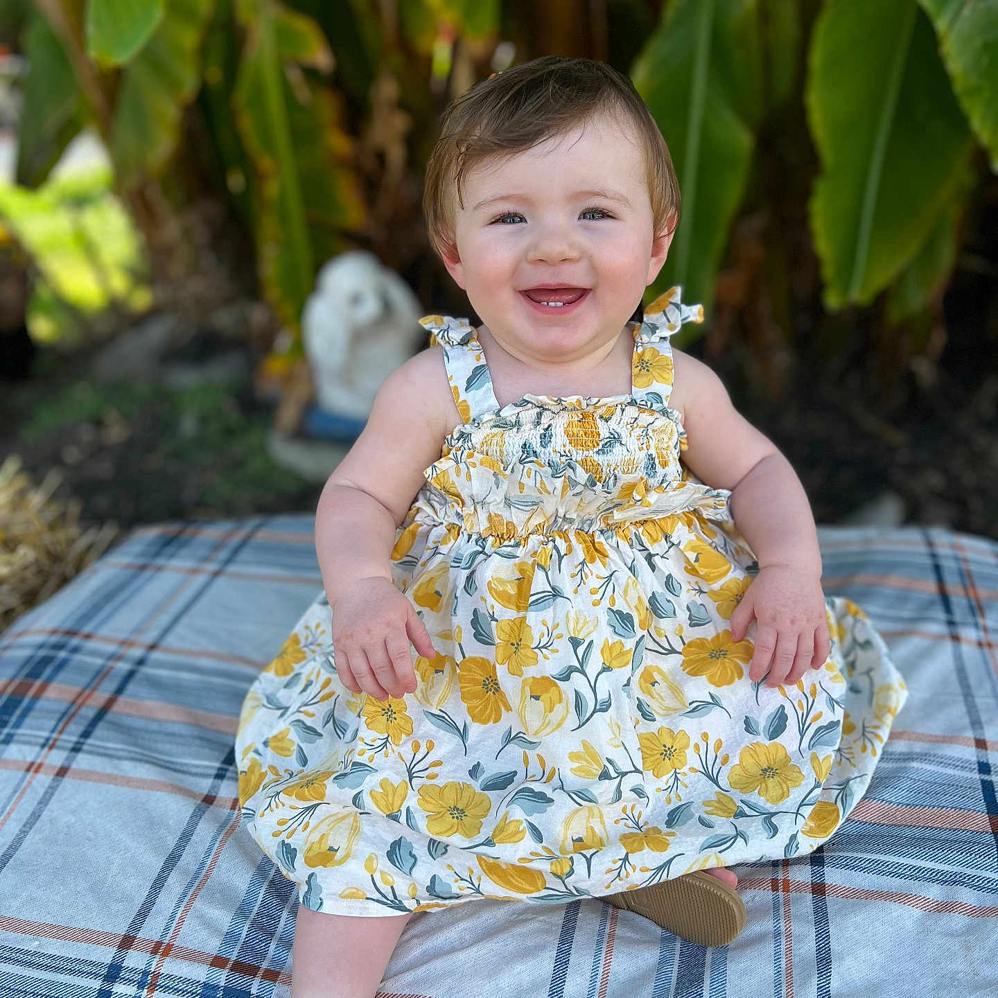Ella joined the competition — help win amazing prizes! baby, clothing, dress, face, flower, footwear, formalwear, furniture, happy, head, laughing, leaf, pants, person, photography, plant, portrait, sandal, sitting, smile