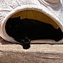 cat, black_cat, pet, animal, indoor, cozy, plush_bed, cave_bed, resting, sleeping, feline, paw, soft_texture, beige, fabric, cute, relaxed, home, comfort, shadows