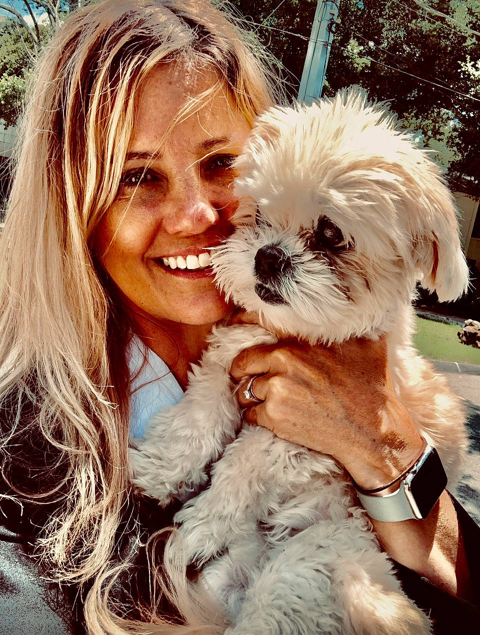 Holly joined the competition — help win amazing prizes! blond, canidae, carnivore, companion_dog, dog, dog_breed, dog_supply, fawn, fur, happy, poodle_crossbreed, puppy_love, shih_poo, small_terrier, smile, snout, sporting_group, terrier, toy_dog, tree