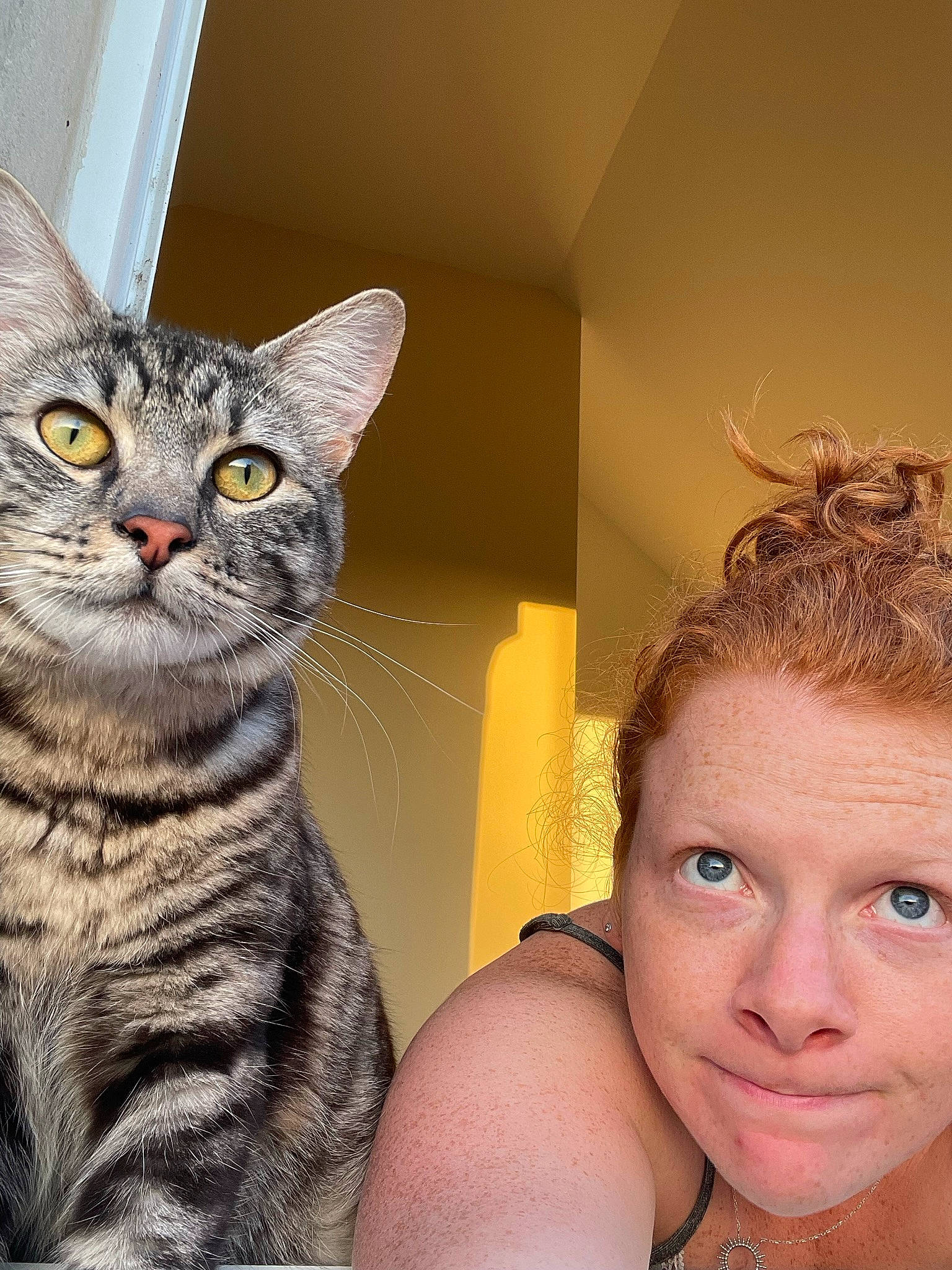 Miku a rejoint le concours — aidez-le/la à gagner de superbes lots ! barechested, bathing, carnivore, cat, chest, domestic_short_haired_cat, eyelash, felidae, fun, fur, happy, jewellery, necklace, paw, selfie, sitting, small_to_medium_sized_cats, smile, whiskers