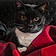 Katt