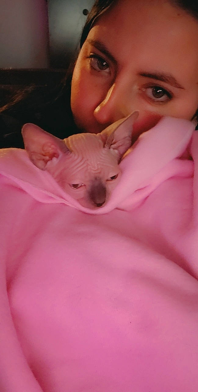 Wasabi joined the competition — help win amazing prizes! carnivore, close_up, comfort, companion_dog, dog_breed, ear, eyebrow, eyelash, fawn, felidae, happy, lip, mouth, nose, pink, rat, skin, snout, toy_dog, whiskers