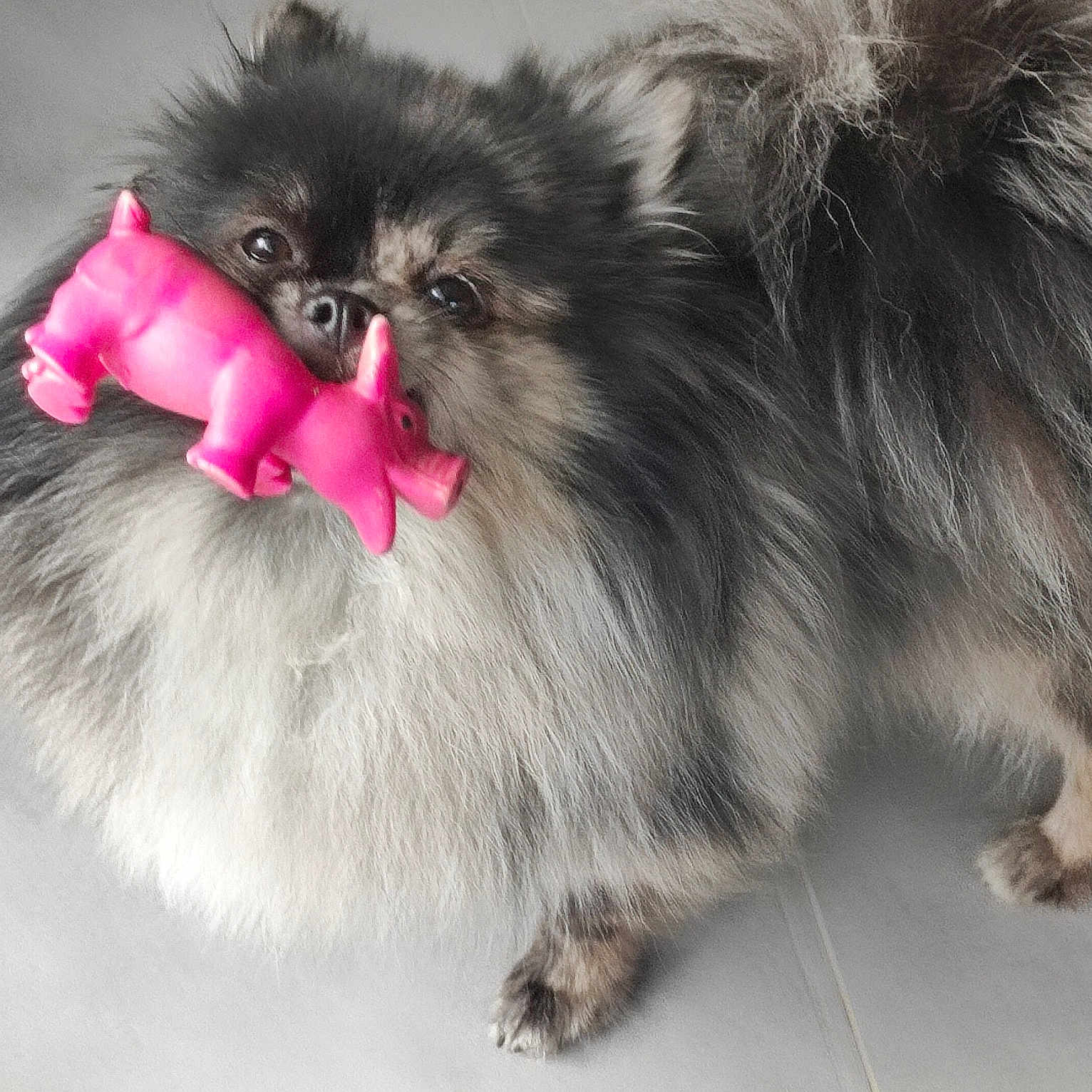 Pif