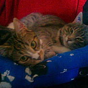 Zaphira Et Perle participe au concours pour gagner de l'argent avec cette photo :