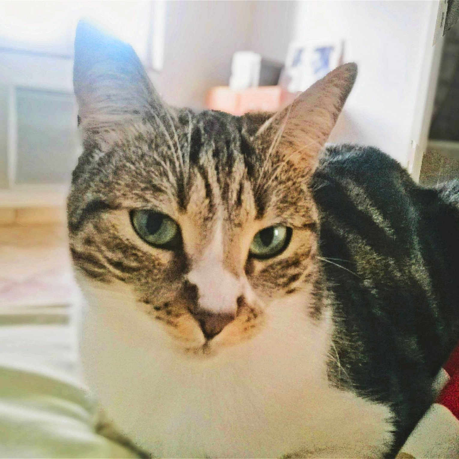 Zaphira participe au concours pour gagner de l'argent avec cette photo :