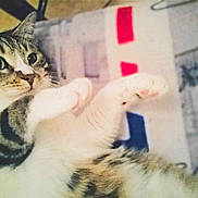 Zaphira participe au concours pour gagner de l'argent avec cette photo :