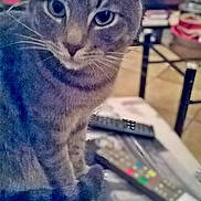 Perle participe au concours pour gagner de l'argent avec cette photo :