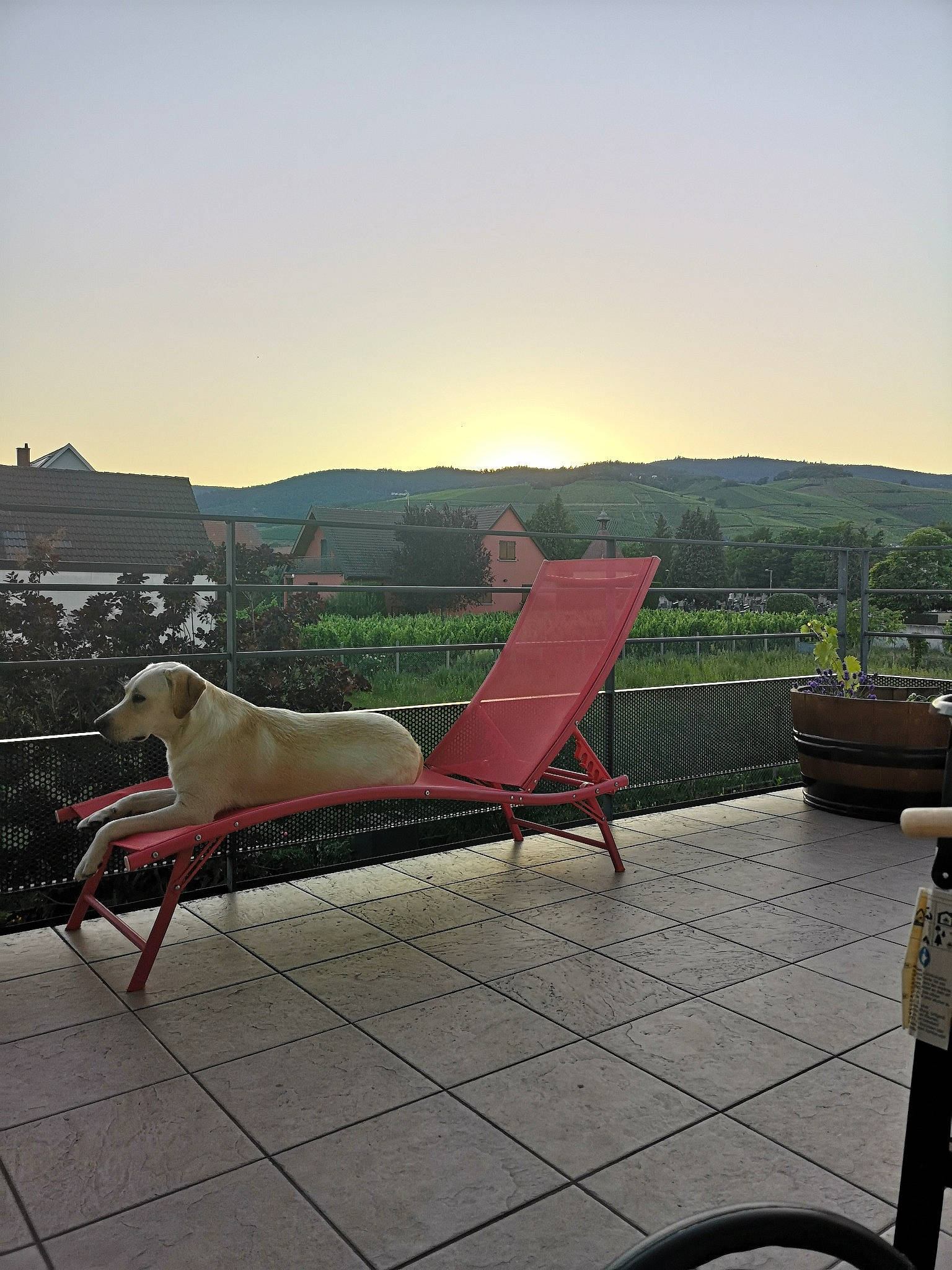 Popy a rejoint le concours — aidez-le/la à gagner de superbes lots ! architecture, chair, chaise_longue, couch, floor, furniture, leisure, morning, outdoor_furniture, sky, sunlounger, tourism, vacation, vehicle