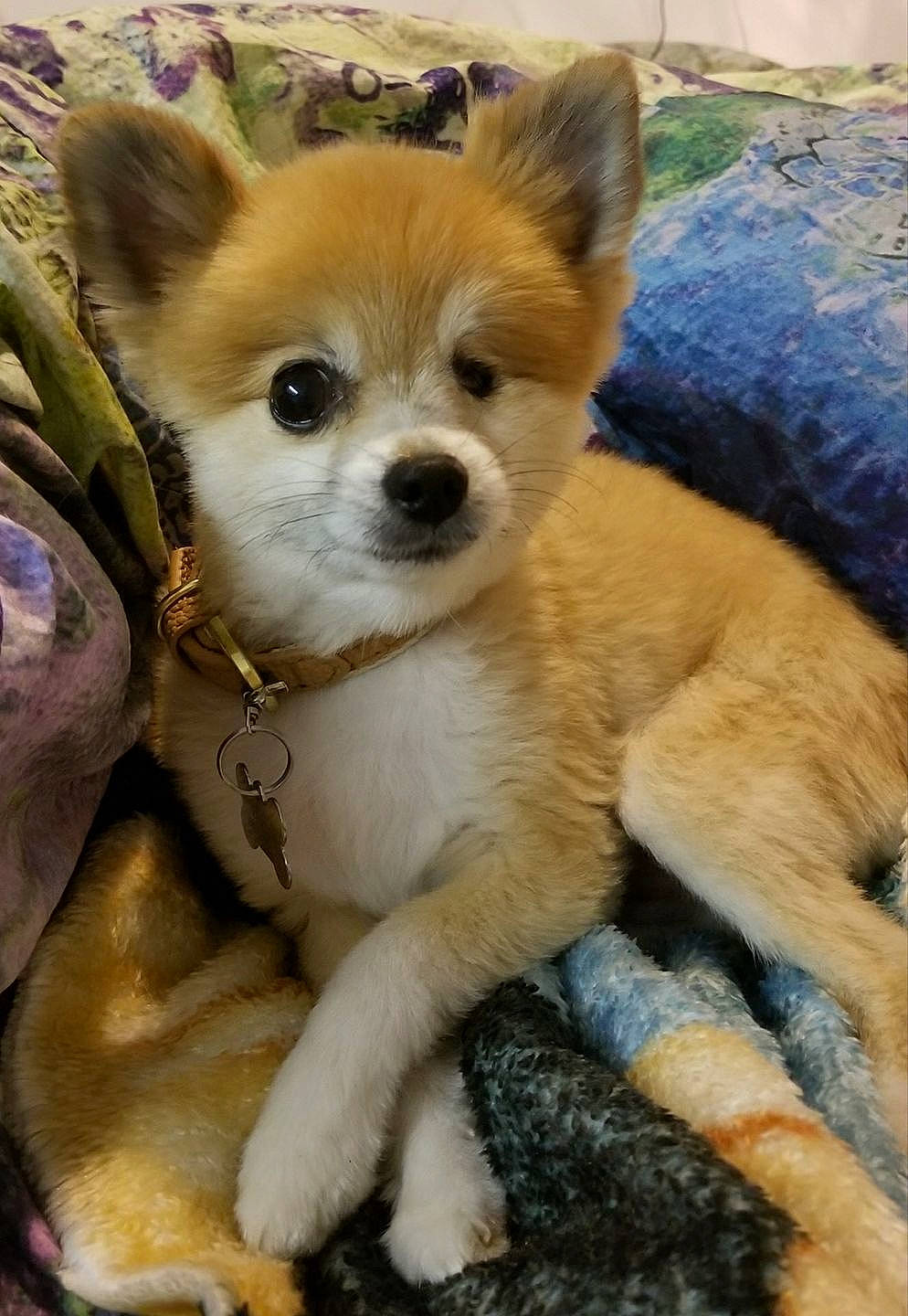 Brad joined the competition — help win amazing prizes!