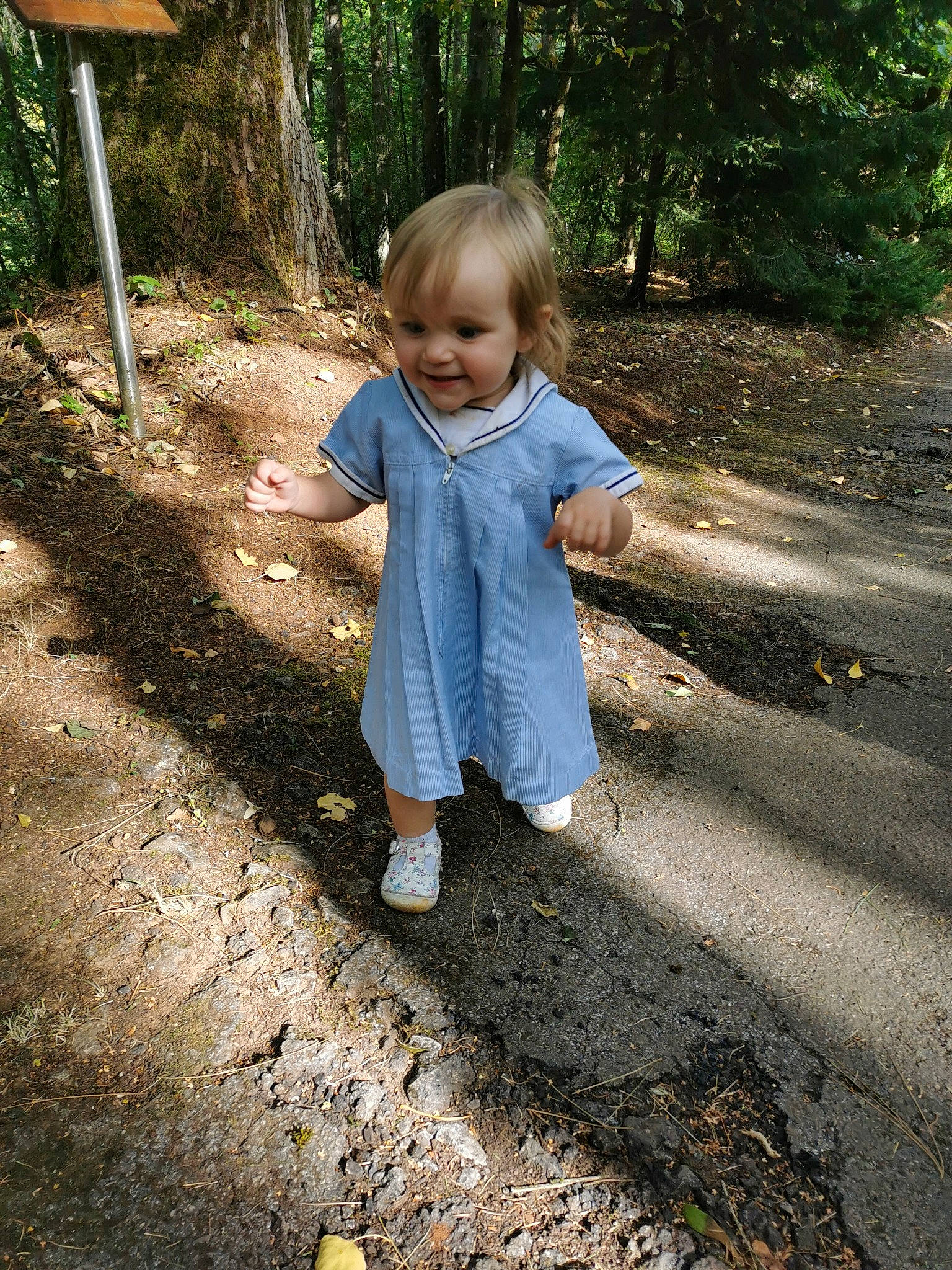 Amy participe au concours pour gagner de l'argent avec cette photo : baby_toddler_clothing, child, grove, joy, people_in_nature, person, sunlight, toddler, trail, woodland