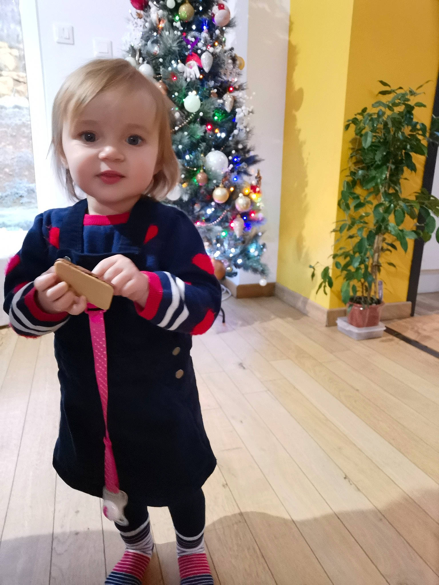 Amy participe au concours pour gagner de l'argent avec cette photo : baby, baby_toddler_clothing, child, christmas, christmas_decoration, christmas_eve, christmas_lights, christmas_ornament, christmas_tree, fictional_character, flowerpot, holiday, holiday_ornament, houseplant, interior_design, ornament, person, pink, sock, toddler