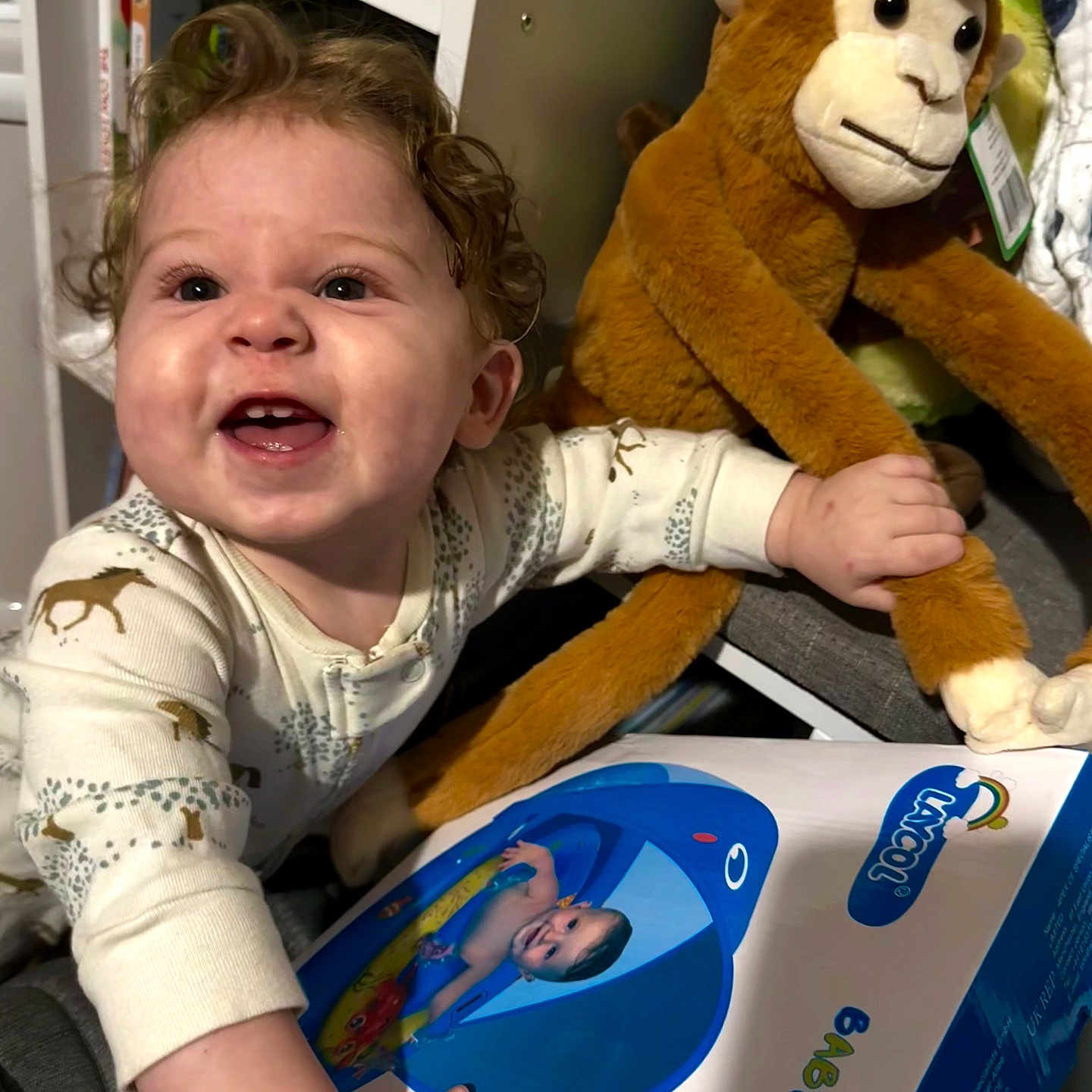 Levi is registered to the contest to win money with this photo: baby, box, clothing, couch, face, furniture, happy, head, indoors, interiordesign, laughing, person, photography, portrait, shelf, sitting, smile, t_shirt, teddybear, toy