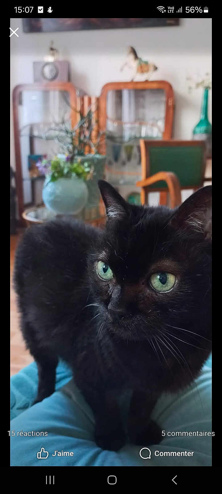 Duchesse