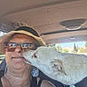 Hugo is registered to the contest to win money with this photo: affection, bond, canine, car_interior, casual, closeup, daylight, dog, earrings, friendship, happy, hat, human, licking, pet, seatbelt, smile, sunglasses, travel, woman
