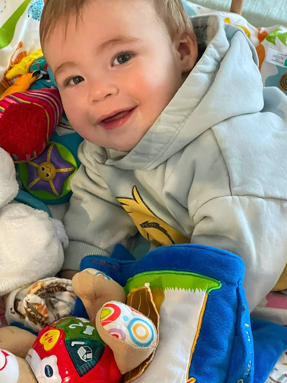 baby, bright, child, childhood, closeup, colorful, cozy, cute, face, fun, happy, hoodie, indoors, playful, plush_toys, portrait, smiling, soft_toys, toddler, young_child