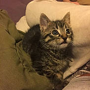 Tabitha is registered to the contest to win money with this photo: