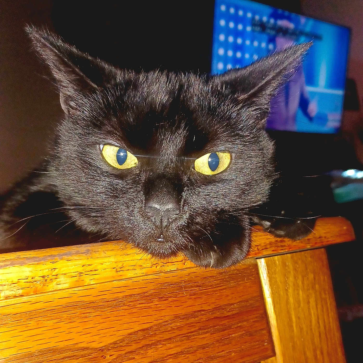 Salem