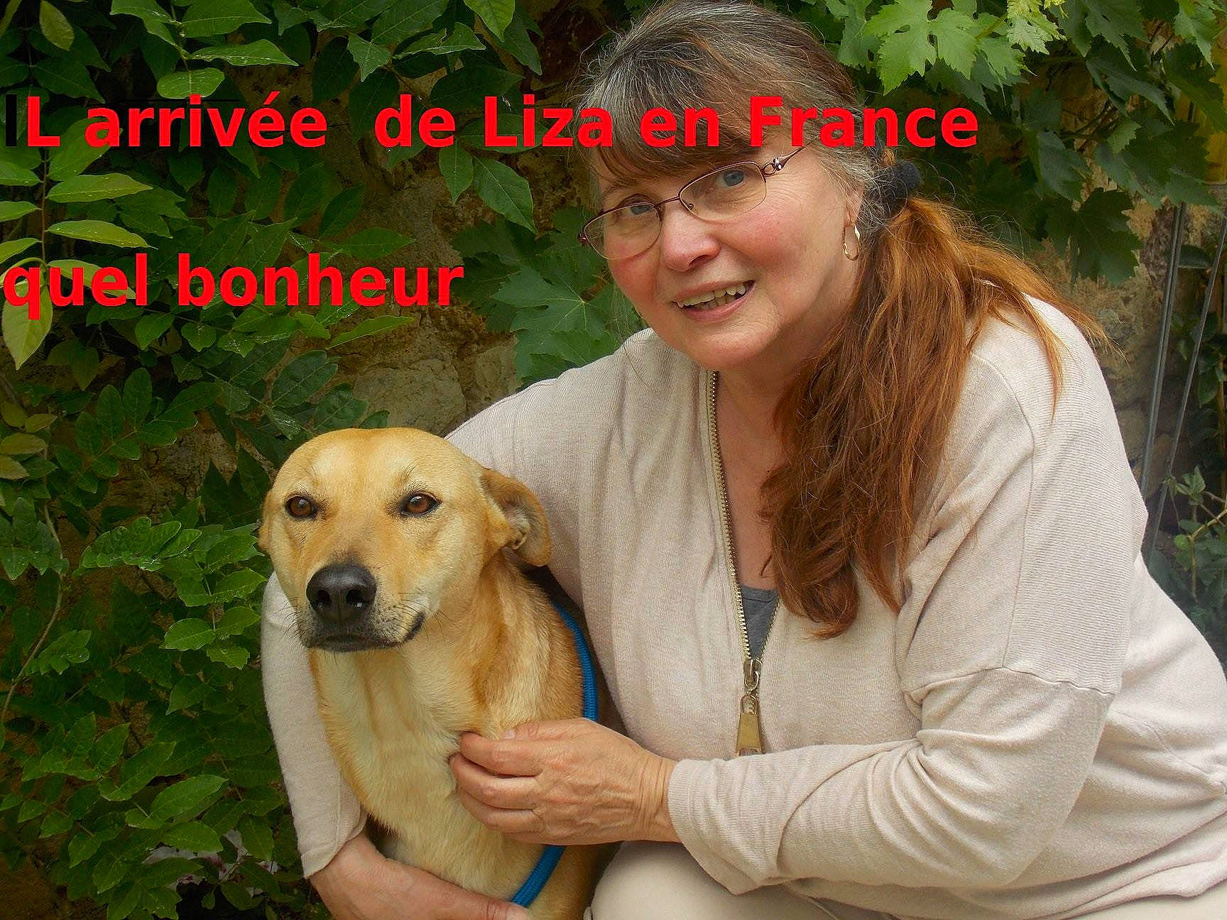 Lyza participe au concours pour gagner de l'argent avec cette photo : akbash_dog, ancient_dog_breeds, broholmer, canidae, carnivore, companion_dog, dog, dog_breed, fawn, golden_retriever, labrador_retriever, mammal, photo_caption, puppy_love, retriever, sporting_group, vertebrate