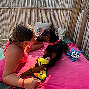 Bella a rejoint le concours — aidez-le/la à gagner de superbes lots ! woman, dog, doberman, pink_towel, toy, outdoor, fence, sunlight, swimsuit, pet, resting, cushion, playful, bond, summer, relaxation, friendship, animal, human, leisure