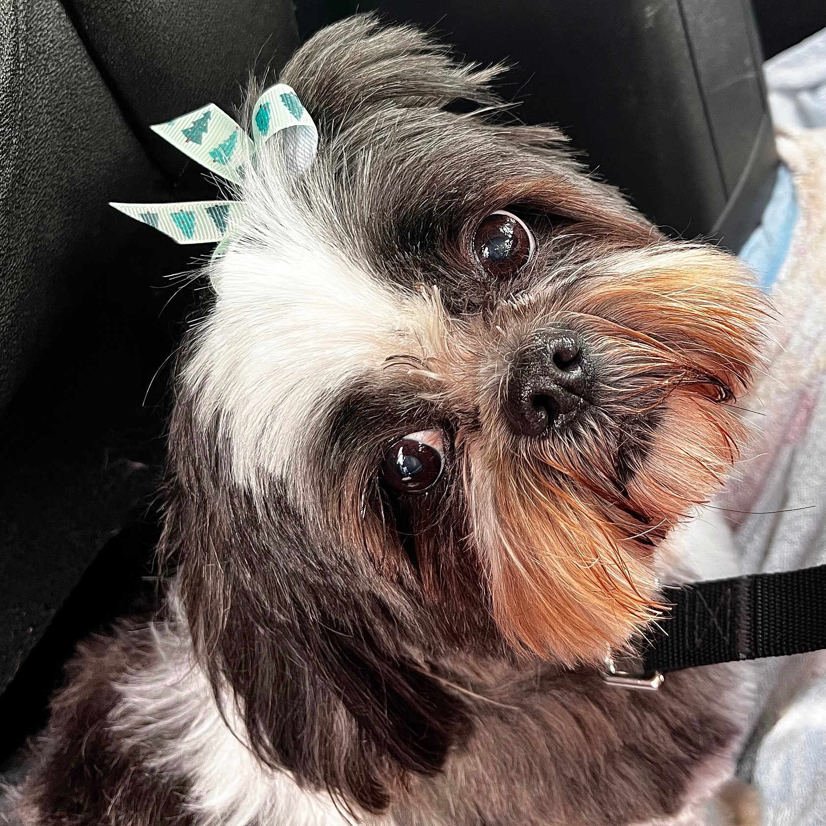 Lilou