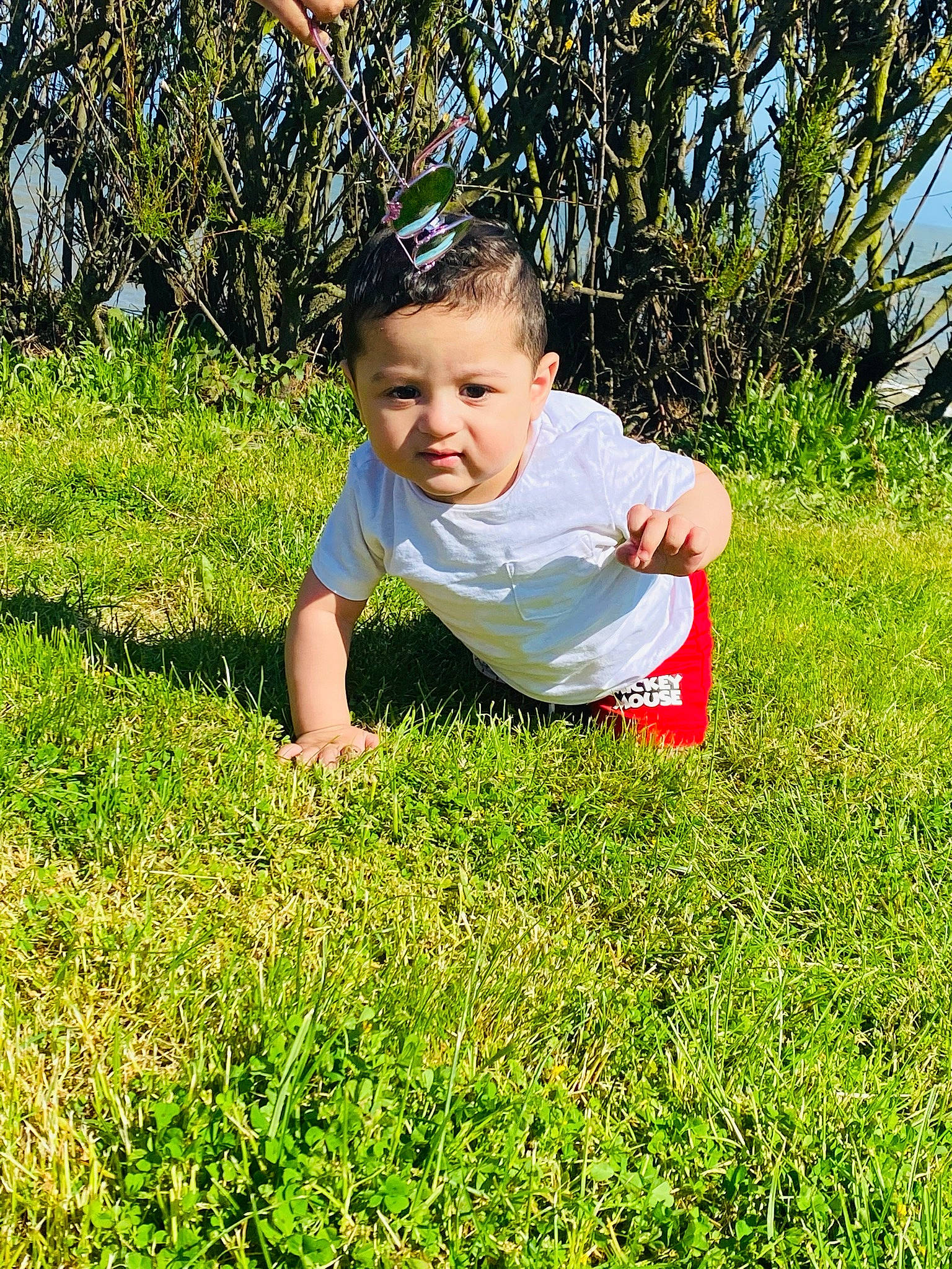 Andrei joined the competition — help win amazing prizes! baby, baby_toddler_clothing, field, fun, garden, grass, grass_family, grassland, groundcover, happy, lawn, leisure, mammal, meadow, natural_environment, people_in_nature, person, plant, prairie, sitting