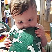 Lilith joined the competition — help win amazing prizes! baby, background, bite, child, curious, cute, face, food, gift, hand, holding, holiday, indoor, kitchen, person, present, reindeer_pattern, table, warm_lighting, wrapping_paper