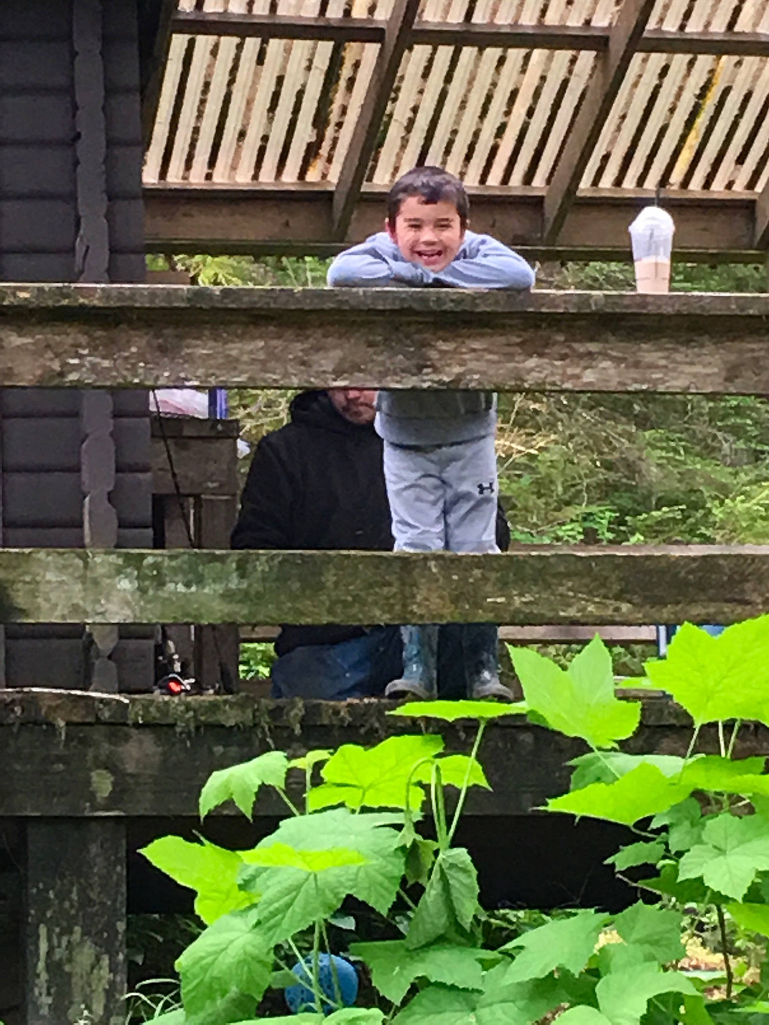 Joshua joined the competition — help win amazing prizes! agriculture, annual_plant, botany, fence, flowering_plant, garden, grass, groundcover, headwear, herb, jacket, joy, landscape, leaf, leaf_vegetable, person, plant, plantation, rural_area, shorts