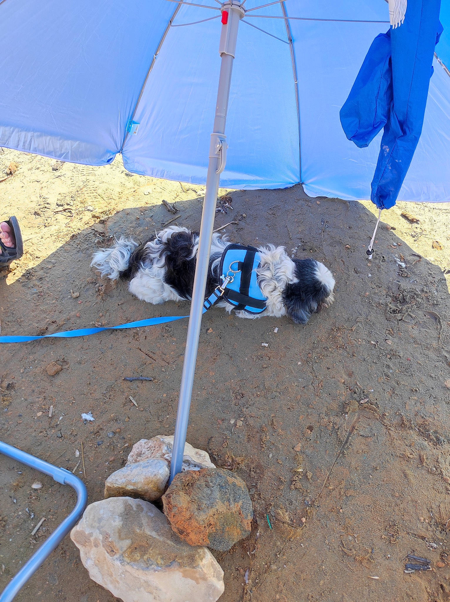 Yoda participe au concours pour gagner de l'argent avec cette photo : air_sports, bedrock, camping, concrete, electric_blue, fashion_accessory, geology, hiking_equipment, landscape, leisure, recreation, rock, sand, shade, shadow, slope, soil, tarpaulin, tent, wind